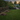 Wildschweine vertreiben: Die besten Methoden für Garten und Grundstück