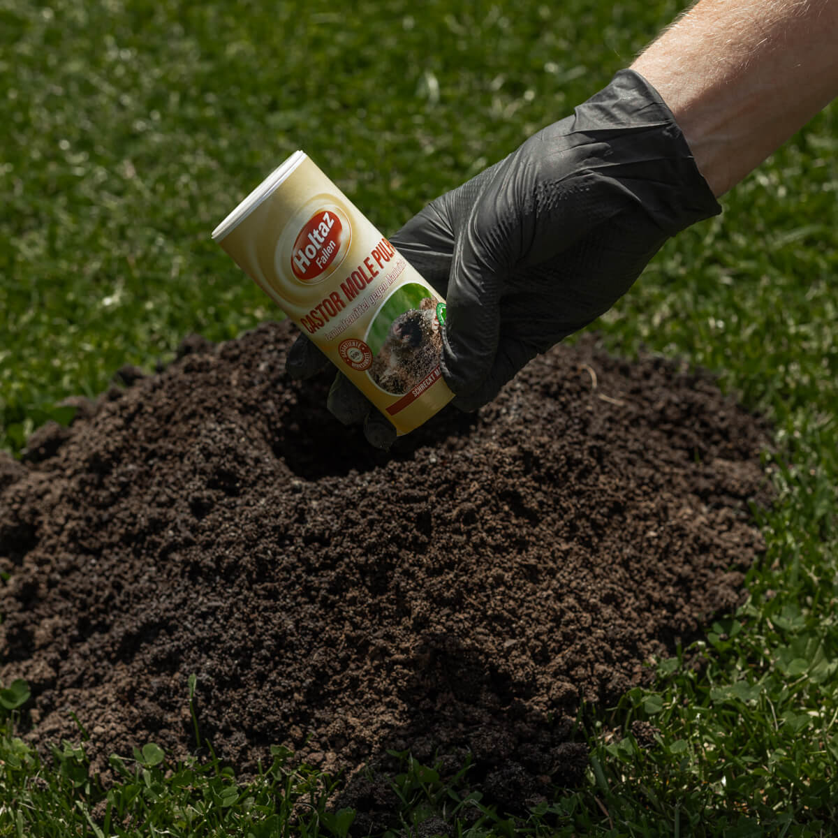 Castor Mole Pulpa Fernhaltemittel gegen Maulwürfe