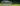 cover2_hunde-lebendfallen_1782974383.jpg