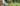 cover5_hunde_1783089284.jpg