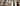 cover6_spinnen_1783089647.jpg